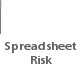 Spreadsheet Risk