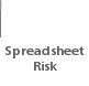 Spreadsheet Risk Management